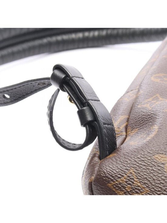 Louis Vuitton Backpack Palm Springs PM Monogram Canvas Leather